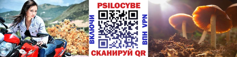 Галлюциногенные грибы Psilocybine cubensis  продажа наркотиков  Липки 